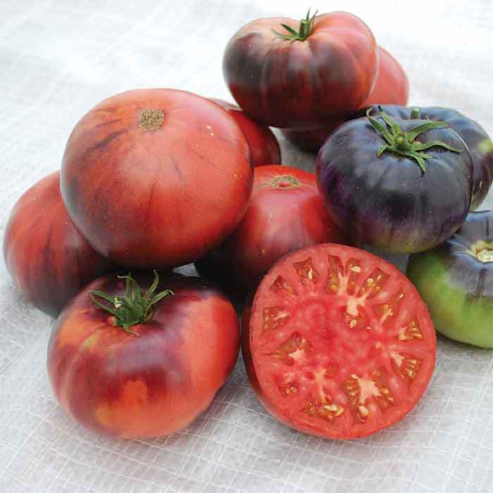 Blue Beauty - Heirloom Tomato Seeding