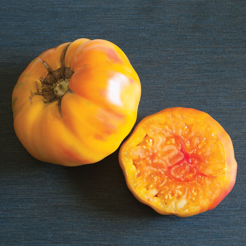 German Yellow Stripe - Heirloom Tomato Seeding