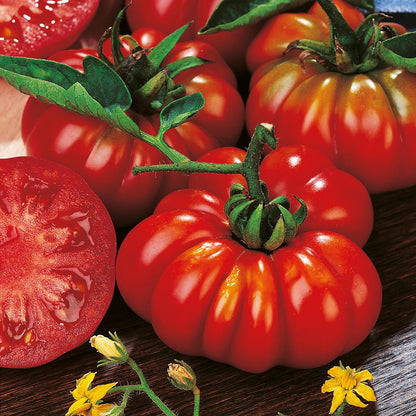Tomato - Costoluto Fiorentino seeds