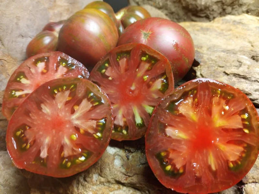 Adelaide - Heirloom Tomato Seeding