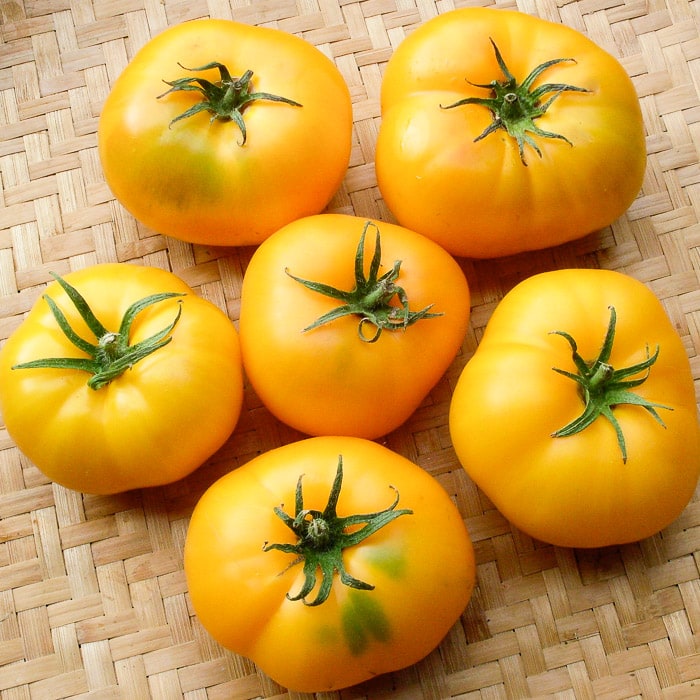 Azoychka - Heirloom Tomato Seeding