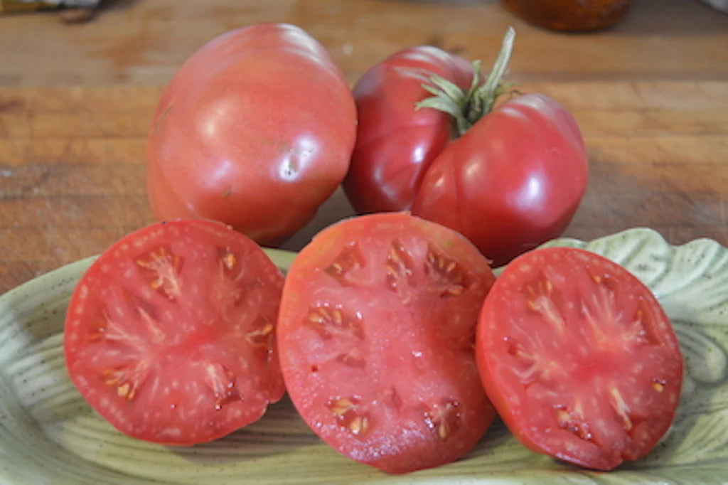 German Johnson - Heirloom Tomato Seeding