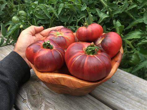 Blue Beauty - Heirloom Tomato Seeding