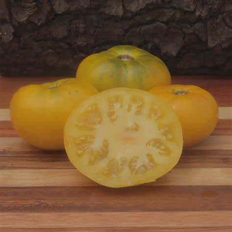 Azoychka - Heirloom Tomato Seeding