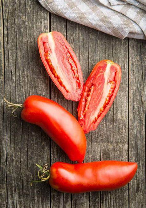 San Marzano - Heirloom Tomato Seeding