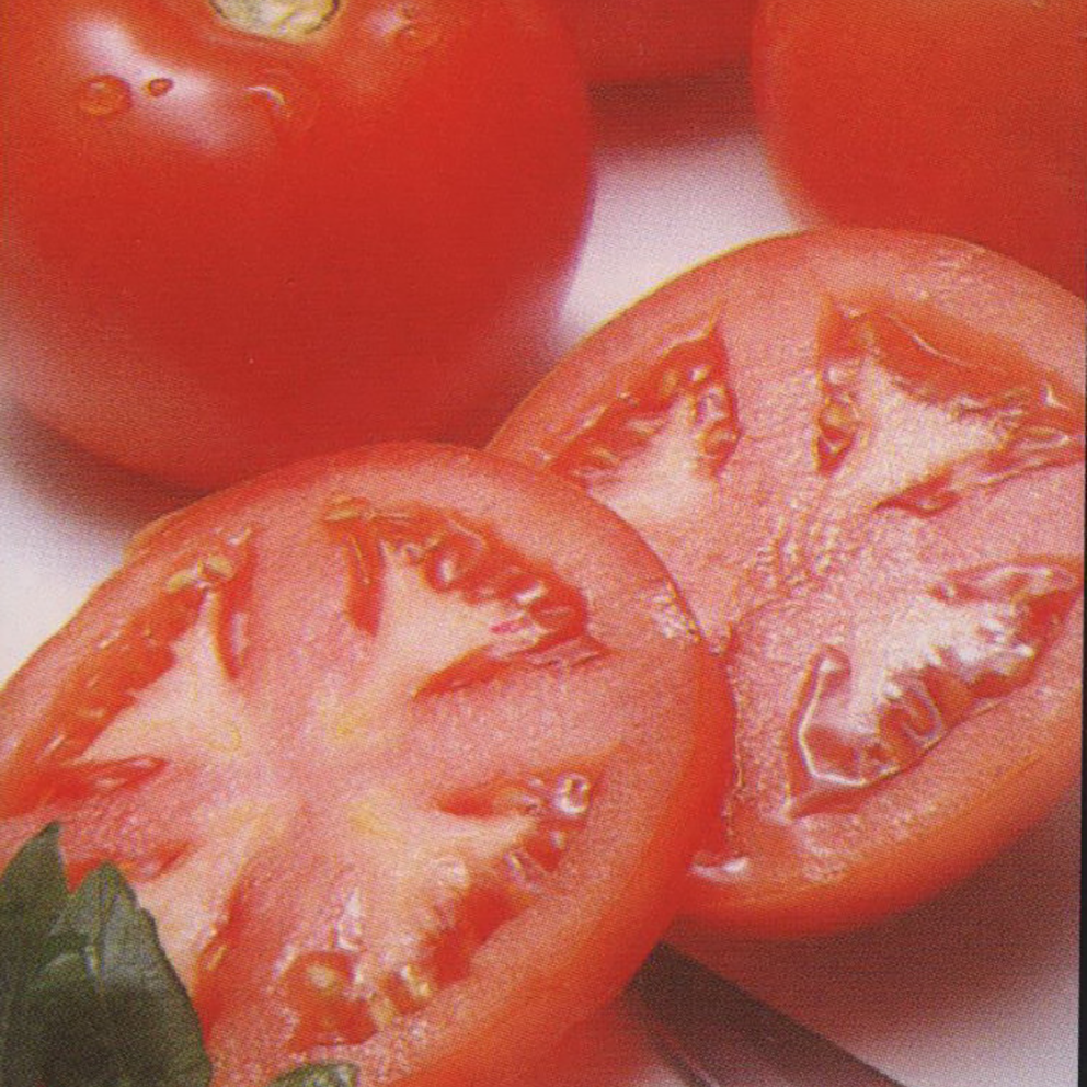 Grosse Lisse - Heirloom Tomato Seeding