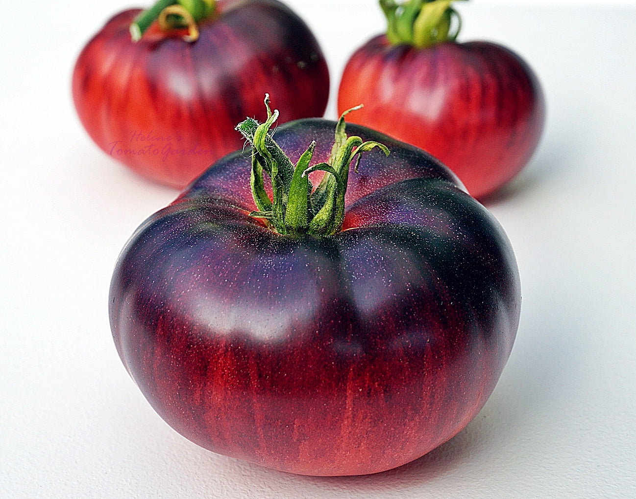 Blue Beauty - Heirloom Tomato Seeding