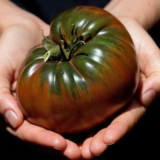 Tomato - Black Krim seeds