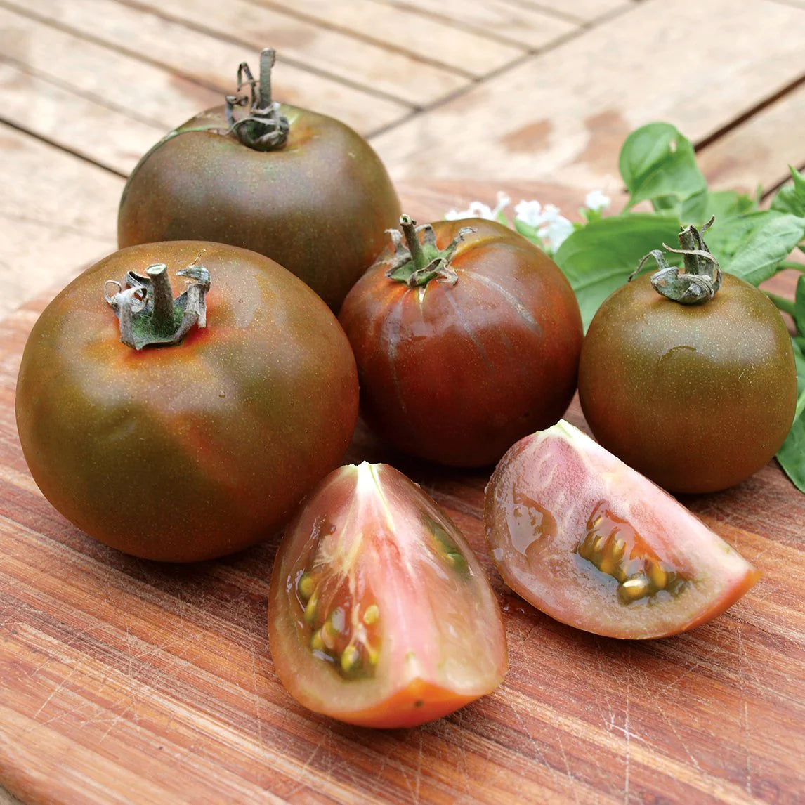 Black Russian - Heirloom Tomato Seedling