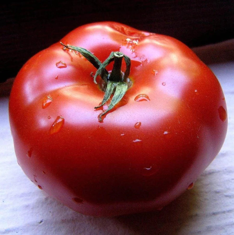 Burnley Bounty - Heirloom Tomato Seeding