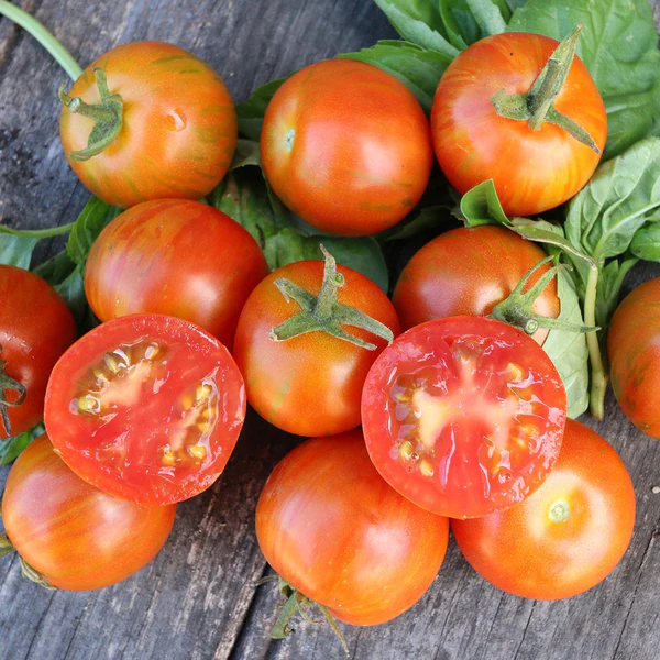 Tigerella - Heirloom Tomato Seeding