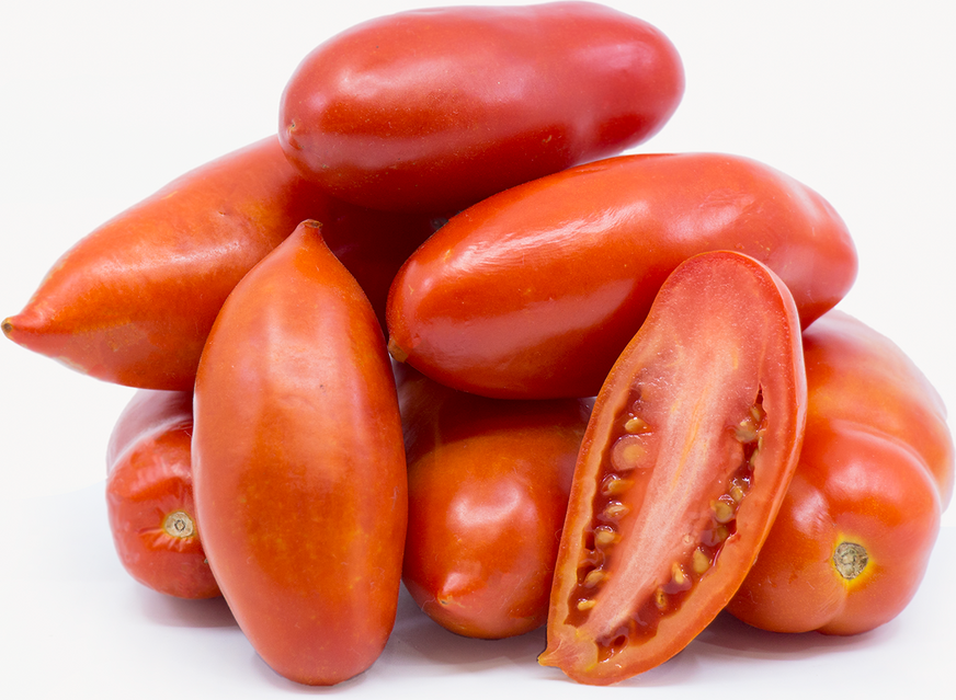 San Marzano - Heirloom Tomato Seeding