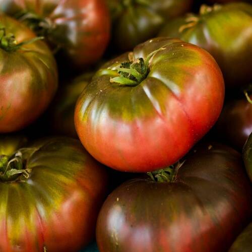 Cherockee Purple - Heirloom Tomato Seeding
