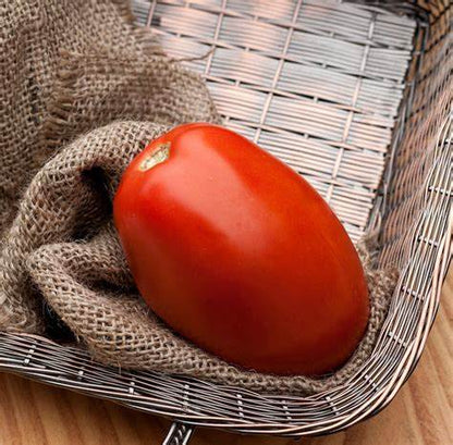 Roma - Heirloom Tomato Seeding