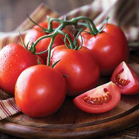Money Maker - Heirloom Tomato Seeding