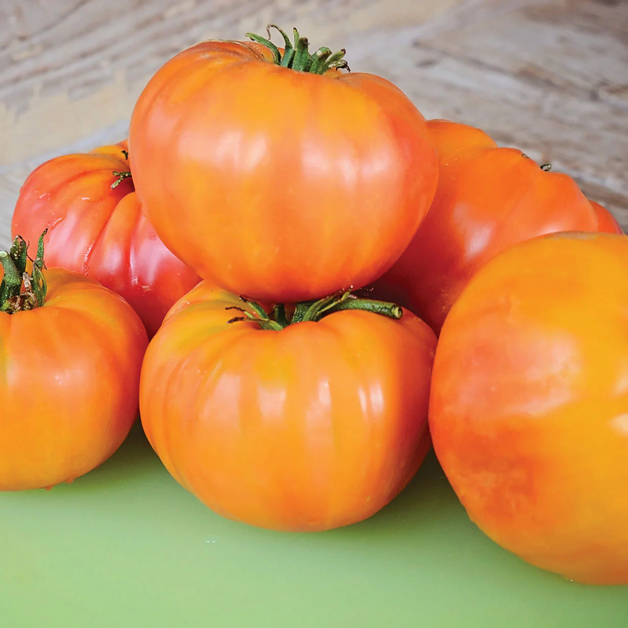 Old German - Heirloom Tomato Seeding