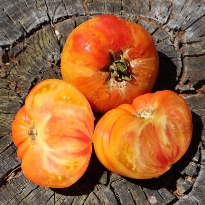 German Yellow Stripe - Heirloom Tomato Seeding