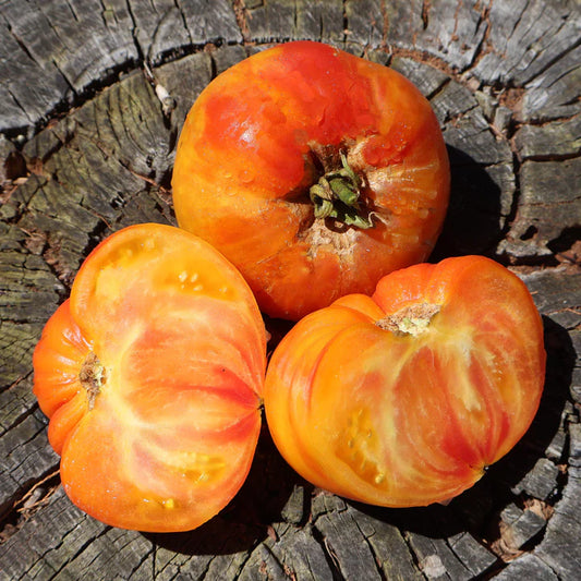 German Yellow Stripe - Heirloom Tomato Seeding