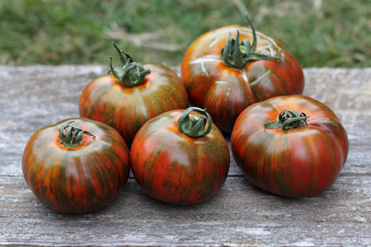 Chocolate Stripe - Heirloom Tomato Seeding