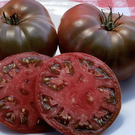 Paul Robeson - Heirloom Tomato Seeding