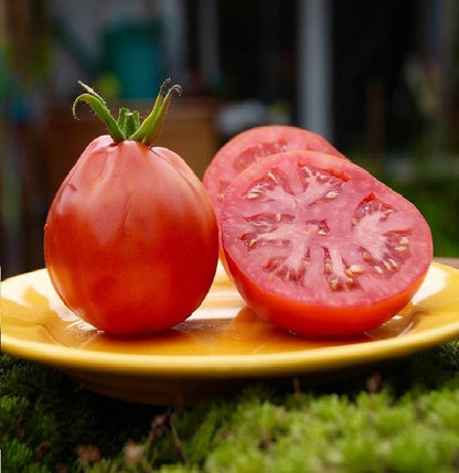 Big Pear - Heirloom Tomato Seedling